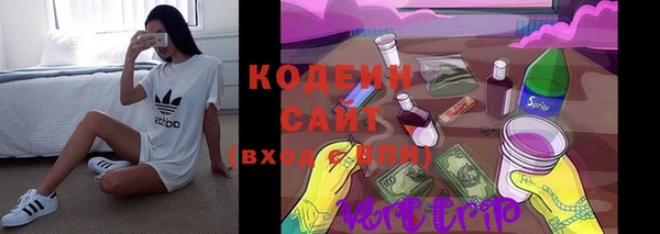 прущий лед Кодинск