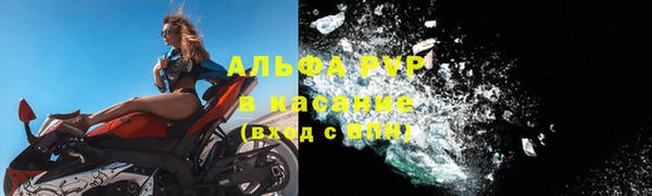 ГАЛЛЮЦИНОГЕННЫЕ ГРИБЫ Козельск