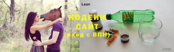 прущий лед Кодинск
