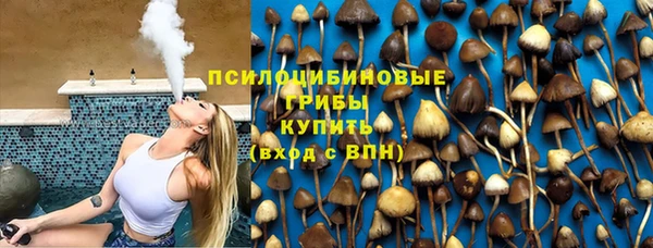 прущий лед Кодинск