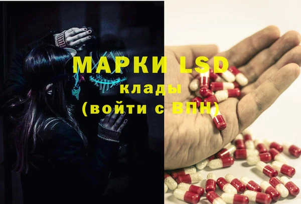 ГАЛЛЮЦИНОГЕННЫЕ ГРИБЫ Козельск
