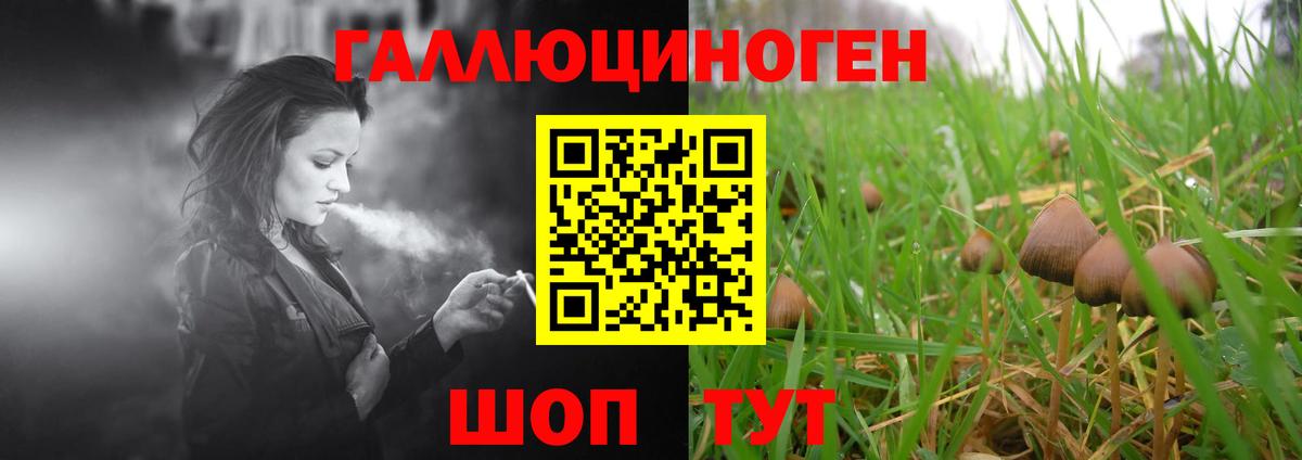 Галлюциногенные грибы мицелий  Псилоцибиновые грибы Magic Shrooms  Краснокамск 